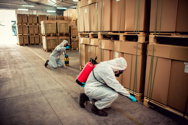 Best Emergency Pest Control  in Richwood, TX