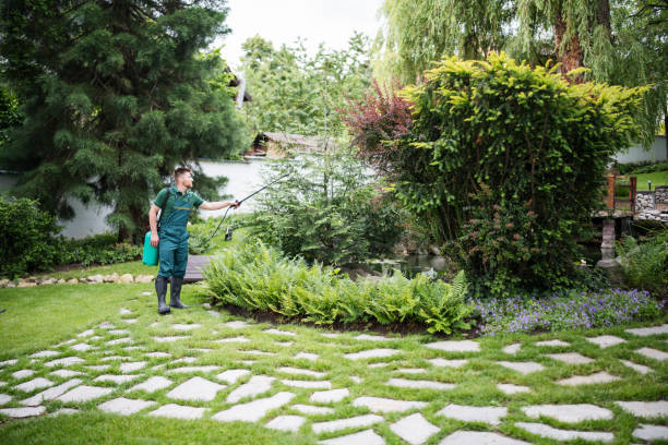 Best Best Pest Control Companies  in Richwood, TX