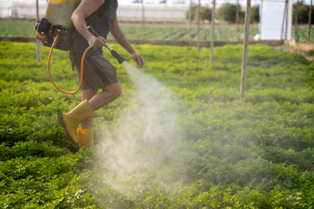 Best Pest Control Near Me  in Richwood, TX