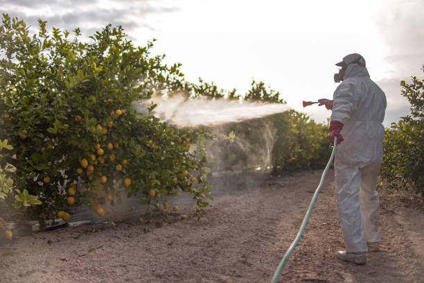 Best Best Pest Control Companies  in Richwood, TX