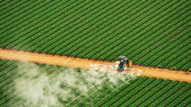Best Pest Control for Businesses  in Richwood, TX