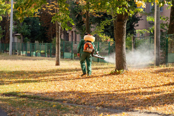 Best Residential Pest Control  in Richwood, TX