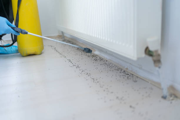 Best Pest Control Near Me in Richwood, TX