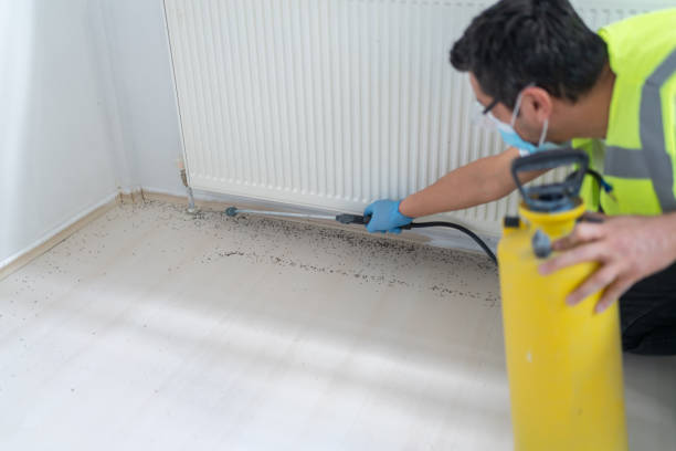 Best Emergency Pest Control  in Richwood, TX