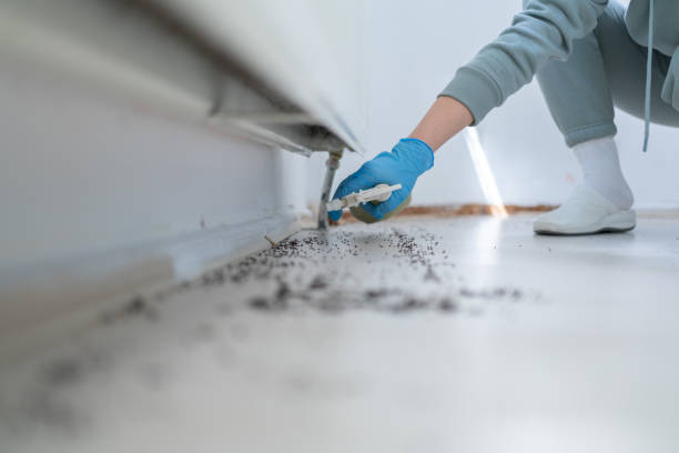 Trusted Richwood, TX Pest Control Experts