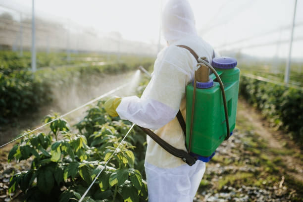 Best Affordable Pest Control Services  in Richwood, TX